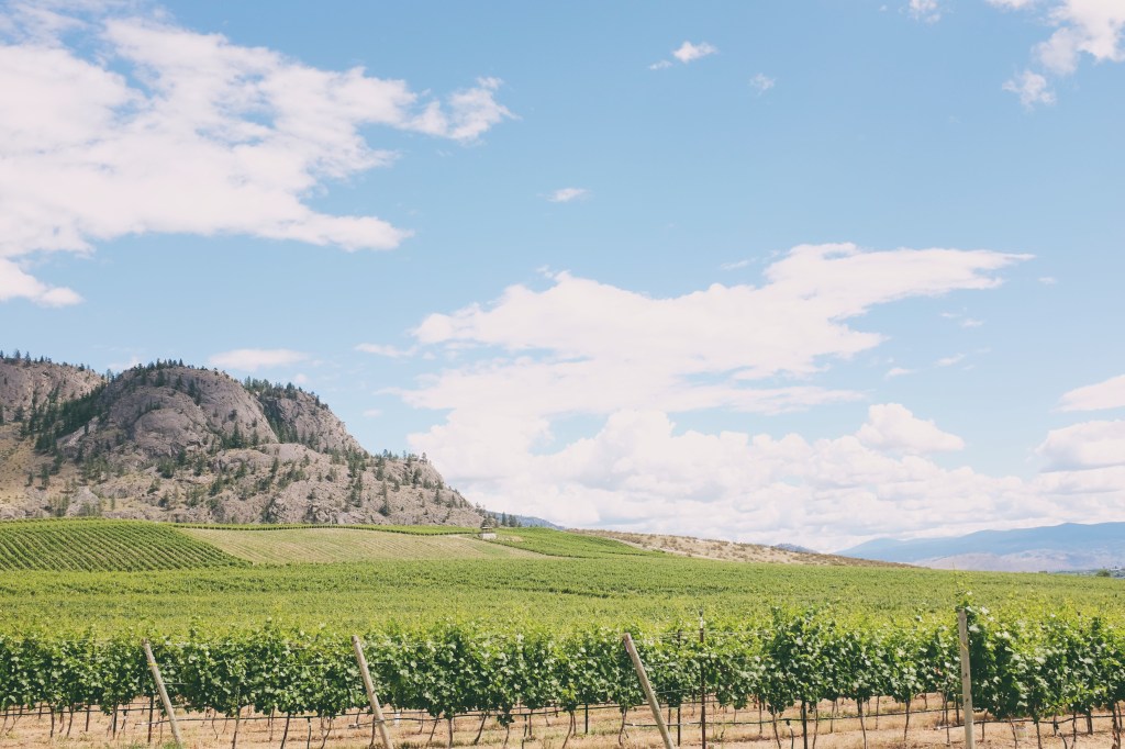 Burrowing Owl Estate Winery, Golden Mile Bench, Okanagan Valley