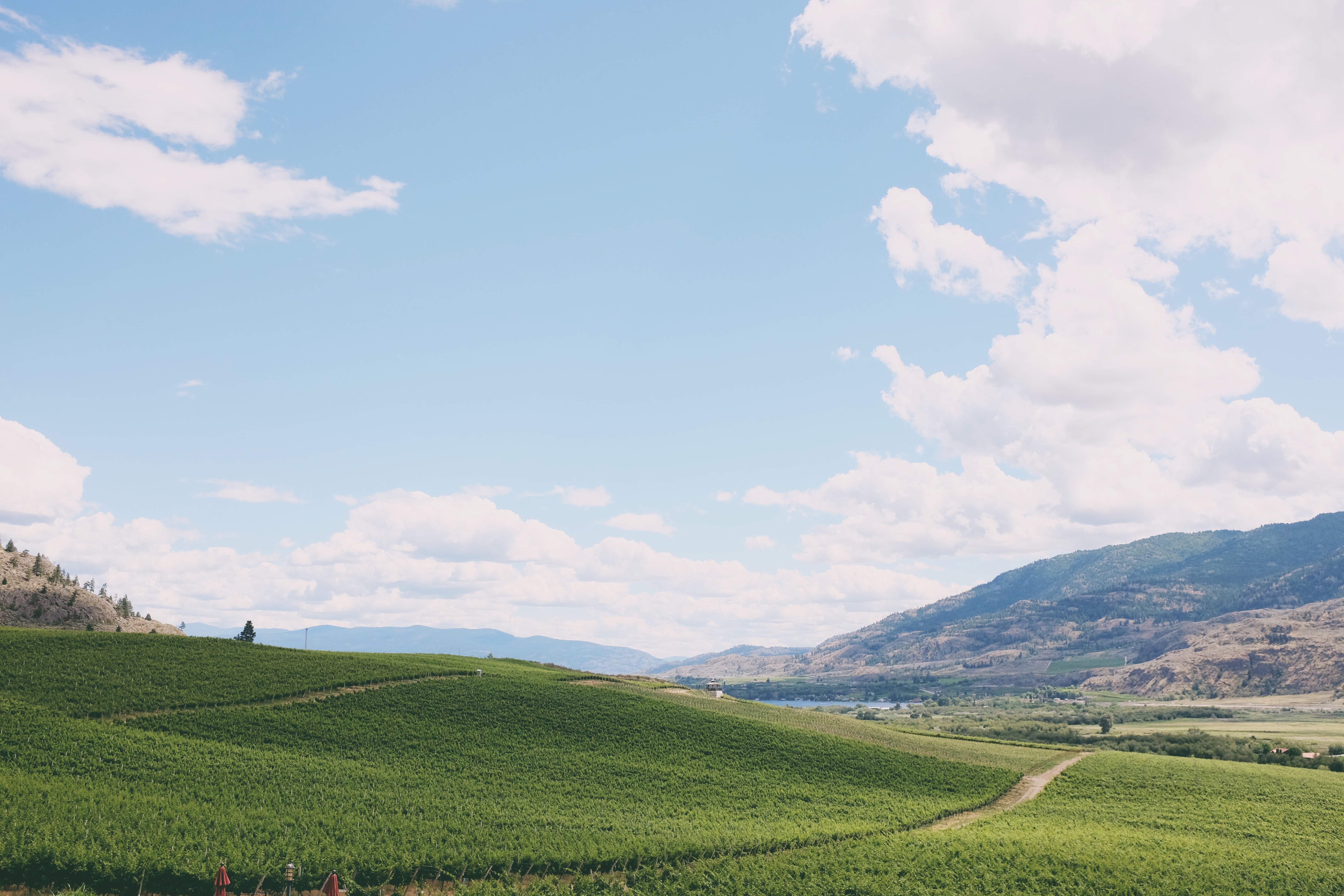 Golden Mile Bench, Okanagan Valley
