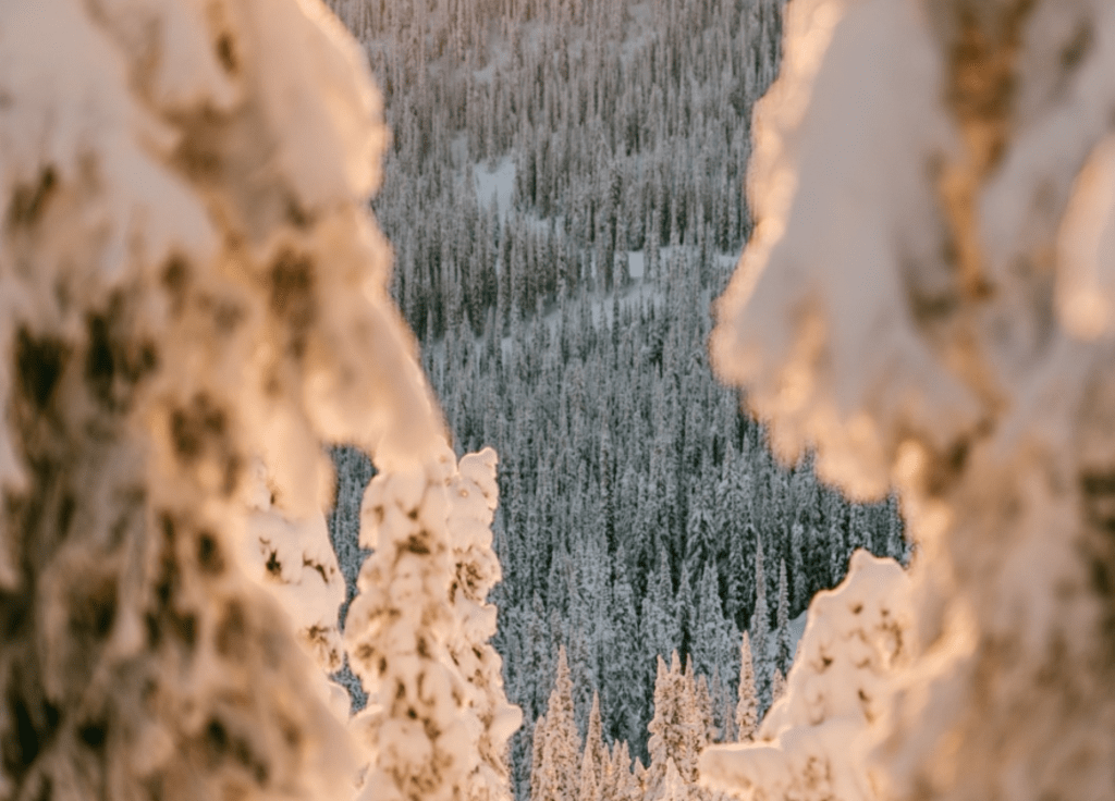British Columbia Powder Highway