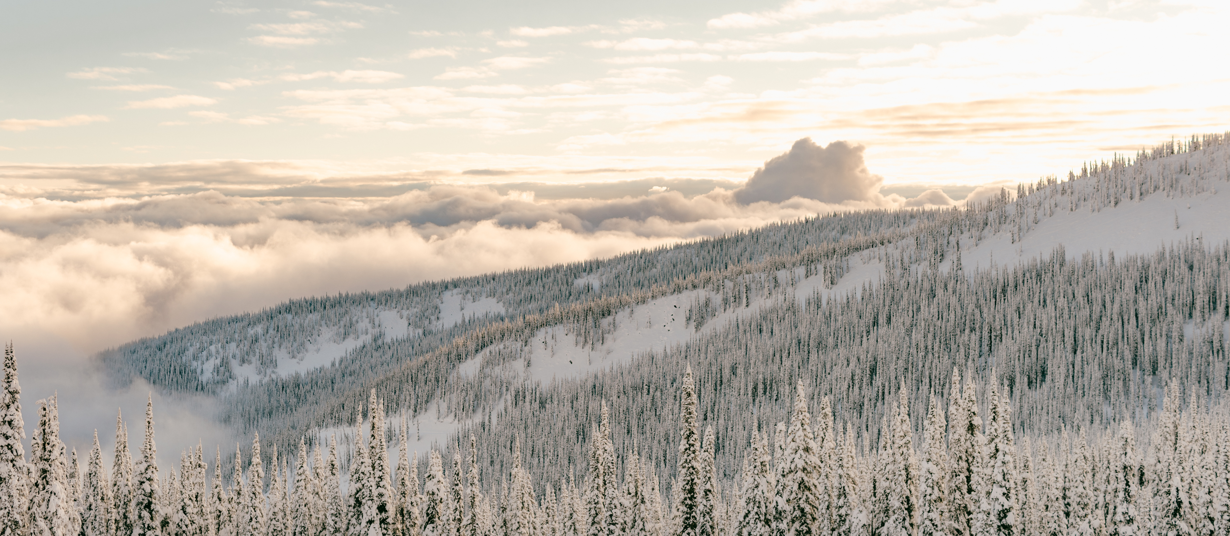 Kokanee Glacier Park Jess Hunter Photo