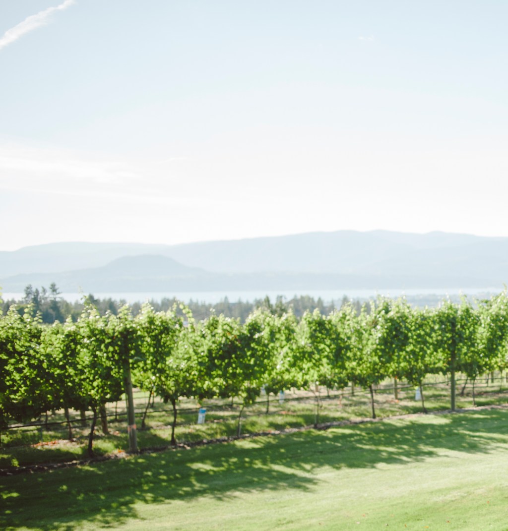 Okanagan Valley Wine&nbsp;Appellations
